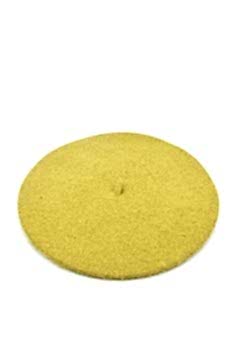 Asit Sarı Ressam Bere